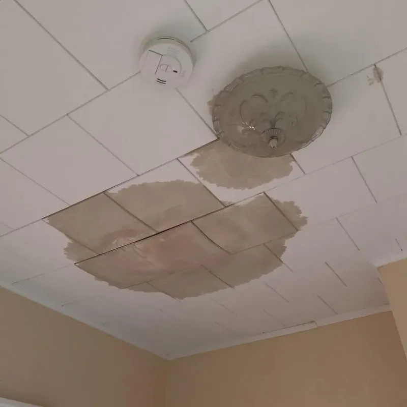 Ceiling Water Damage Repair in North Saint Paul, MN