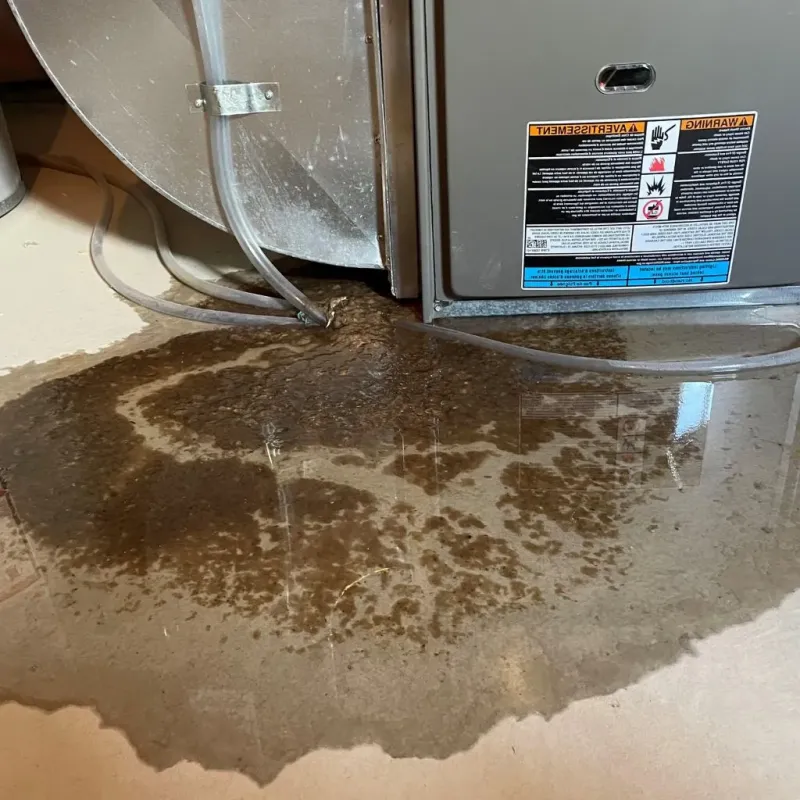 Pipe Burst and Leak Restoration in North Saint Paul, MN